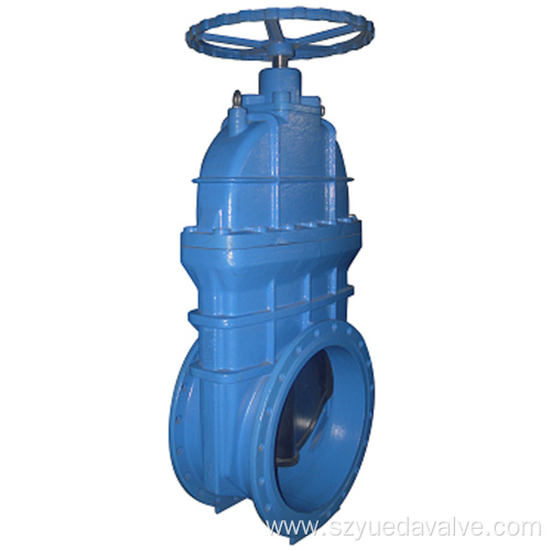 Gate valve large size